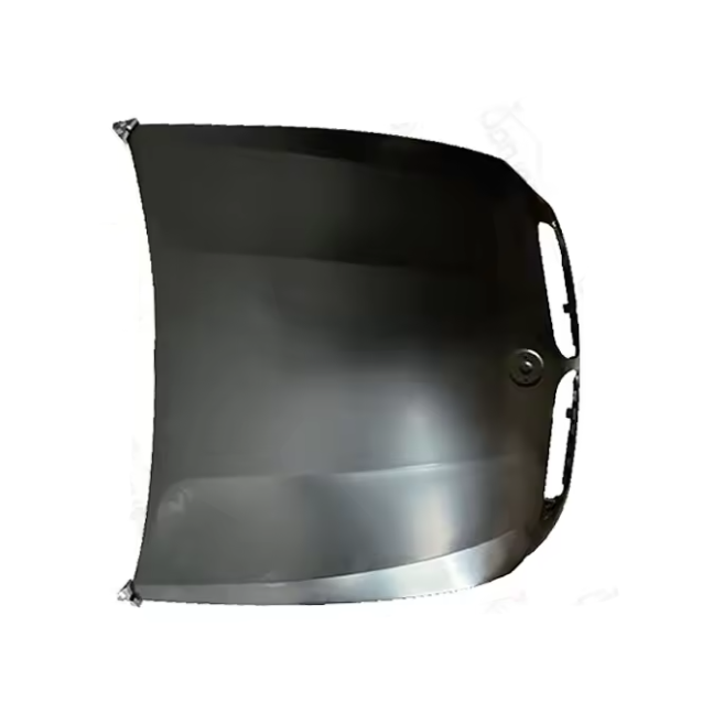 Car Door Bonnet Hood Trunk Lid Fender for BMW X5 E70 Front Left&Right Rear Left&Right Tailgate 41617273439