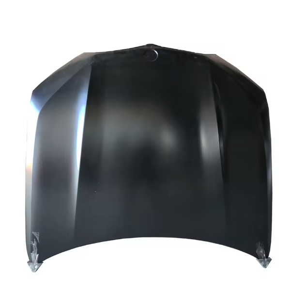 Car Door Bonnet Hood Trunk Lid Fender for BMW X6 G06 Front Left Front Right Rear Left Rear Right Tailgate OEM 41008497442