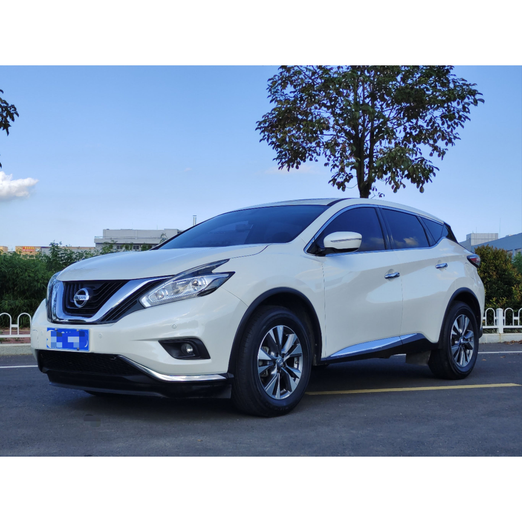 Car Door Bonnet Hood Trunk Lid Fender for Nissan Murano 2015 Front Left&Right Rear Left&Right Tailgate