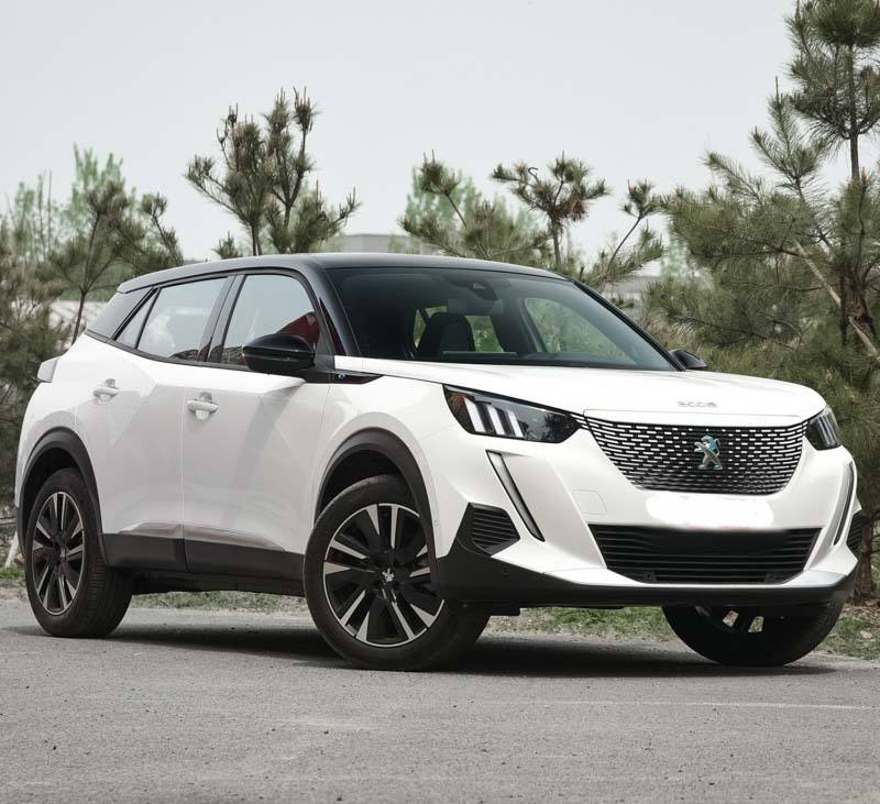 Car Door Bonnet Hood Trunk Lid Fender for Peugeot 2008 2020 Front Left Front Right Rear Left Rear Right